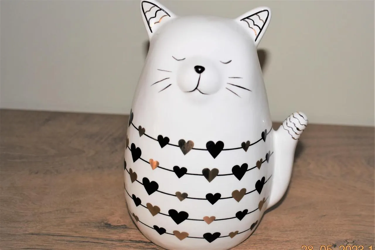 Studio White Cat Varna